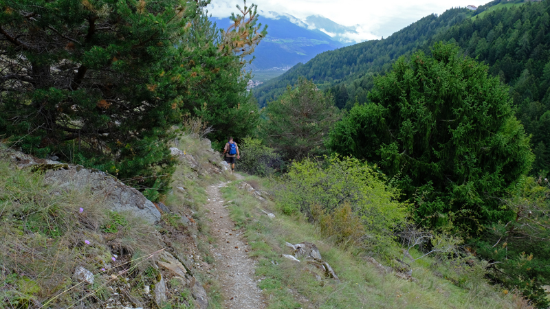 2017-09-11_115204 trentino-suedtirol-2017.jpg - Wanderung ber Frauwaal und Agumser Bergwaal nach Stilfserbrcke